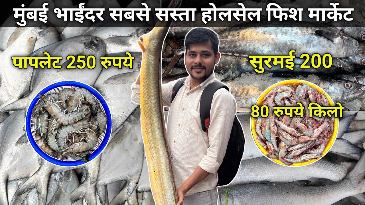Bhayandar Fish Market Latest Video | Mira Bhayandar Fish Market | Wholesale Fish Market In Mumbai