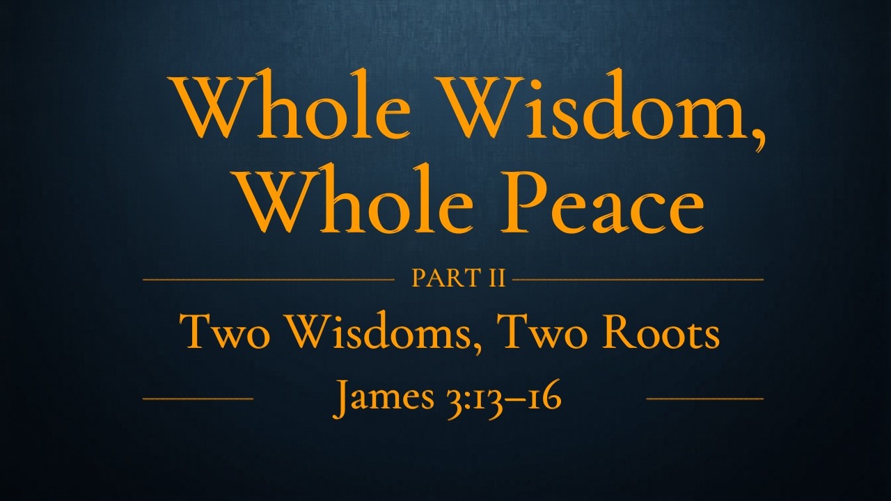 #298 - Whole Wisdom, Whole Peace - Part 2