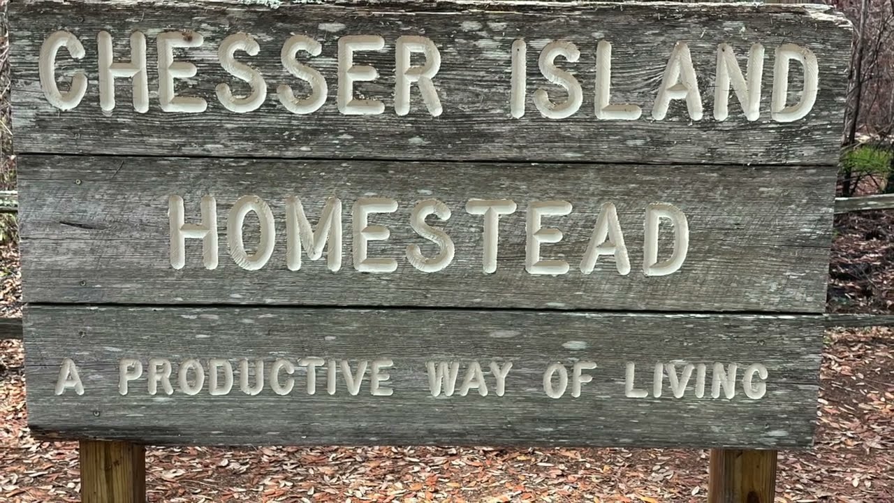 OKEFENOKEE SWAMP-Chesser Island Homestead