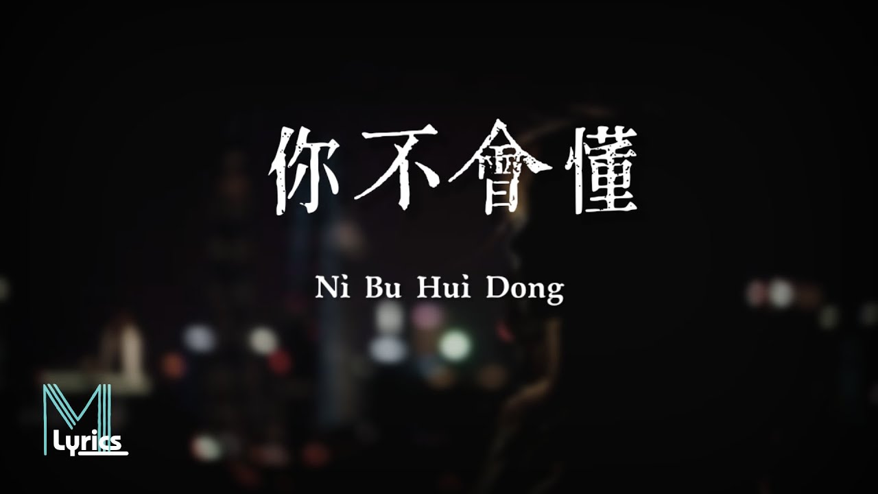 Joysaaaa - Ni Bu Hui Dong (你不會懂) Lyrics 歌词 Pinyin/English Translation (動態歌詞)