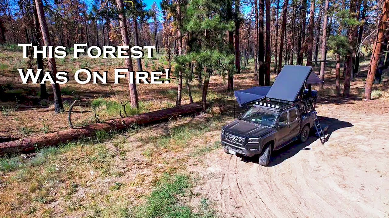 AMAZING Truck Camping In A Historical Wildfire Forest