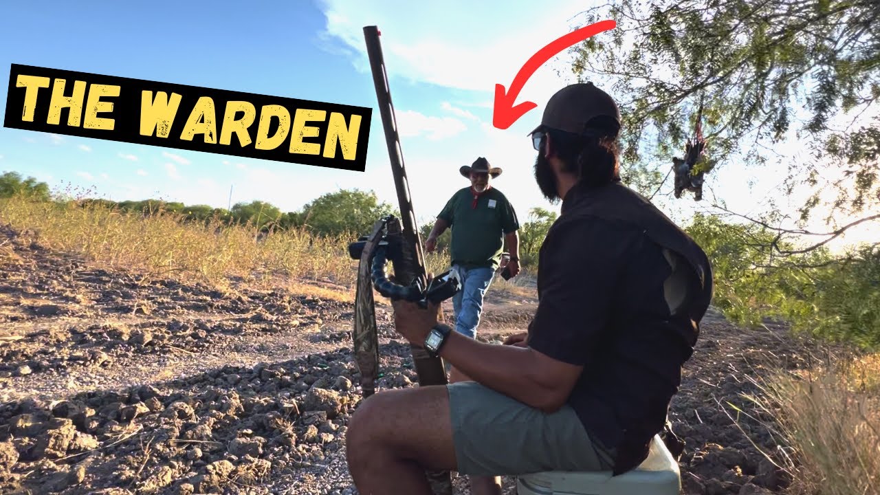 South Texas Dove Hunt- WE GET A VISITOR!