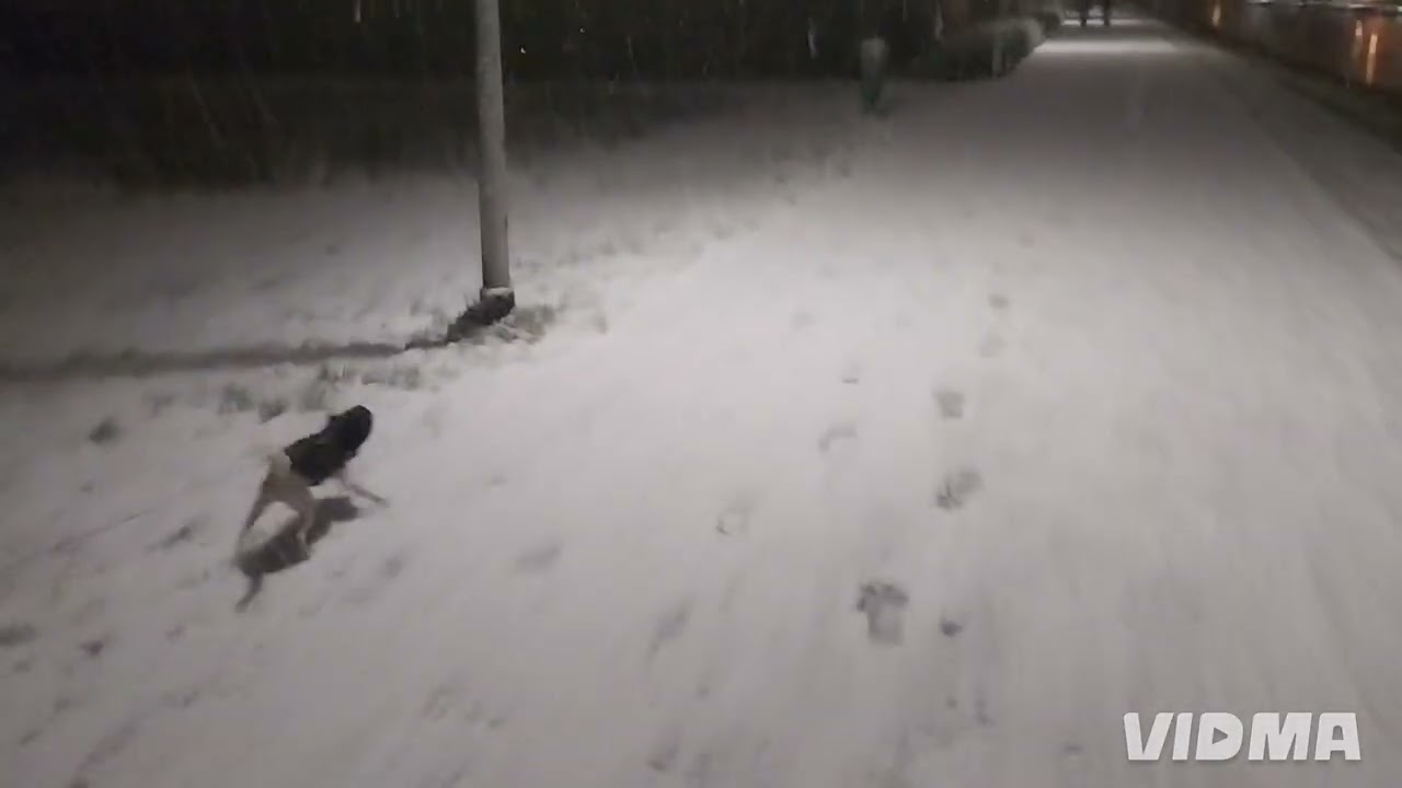 De eerste sneeuw van 2026 in Doetinchem ❄️☃️⛄️⚡️