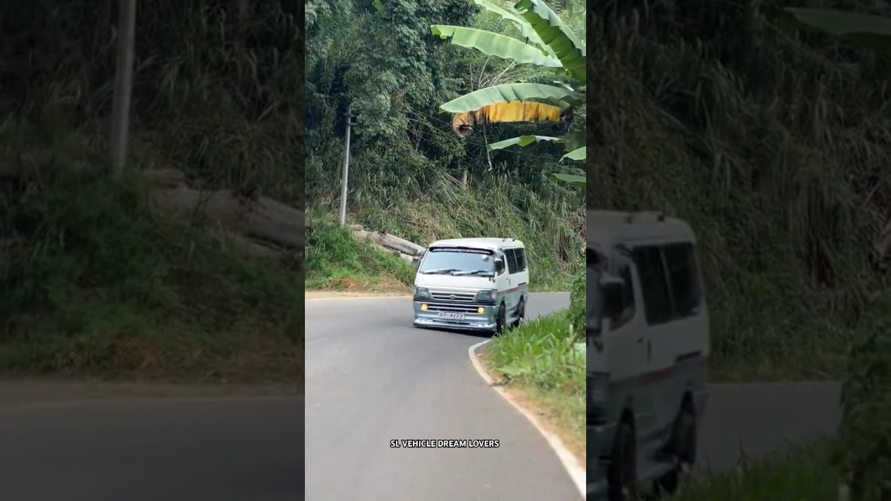 Speed ඒක 😎🥺 Dolphin Van Toyota Dolphin Van Srilanka 😍🥰 #toyota #dolphin #van #shorts #driving