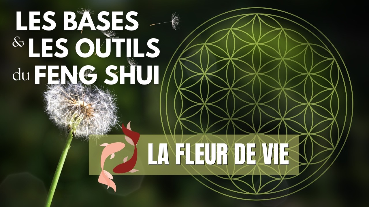 La fleur de vie