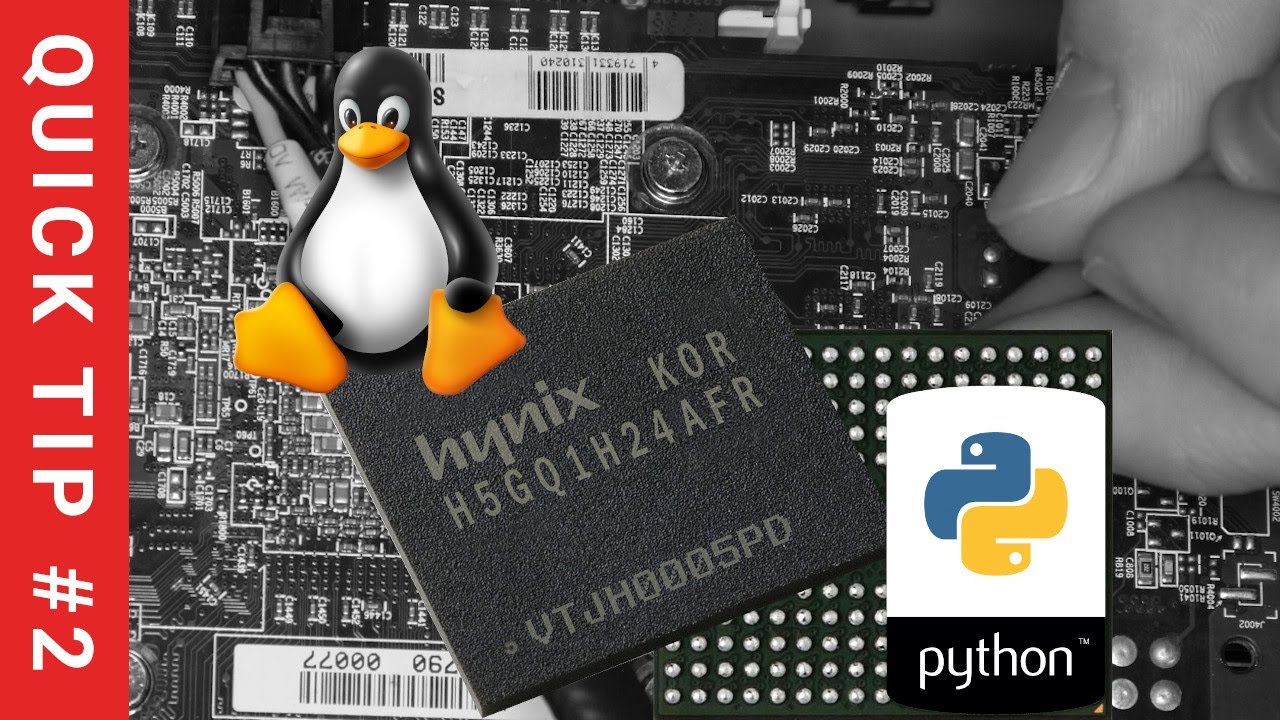 QT#2: Python Script for Video Memory Diagnostics