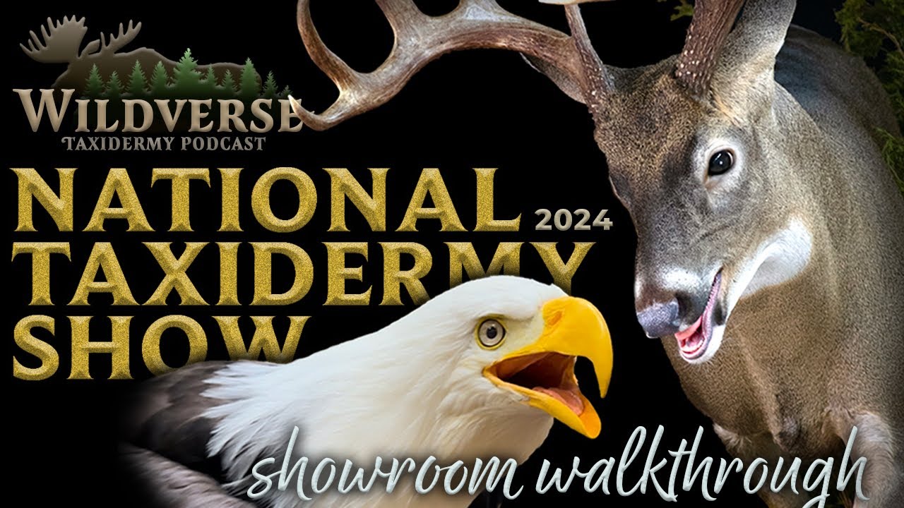 National Taxidermy Competition - Showroom Walkthrough
