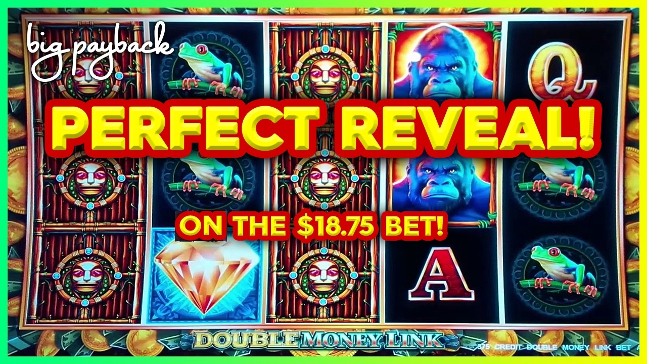 $18.75/Spin &rarr; PERFECT REVEAL on Double Money Link Slots!