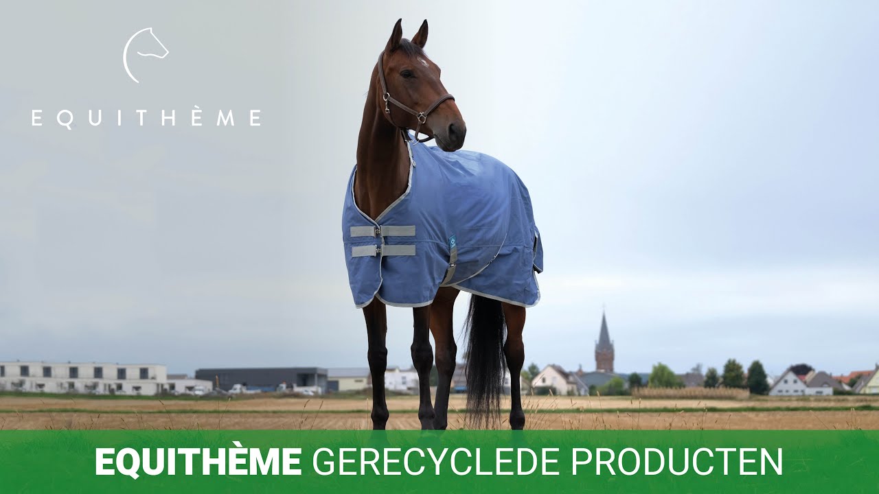 Equithème Gerecycled Assortiment