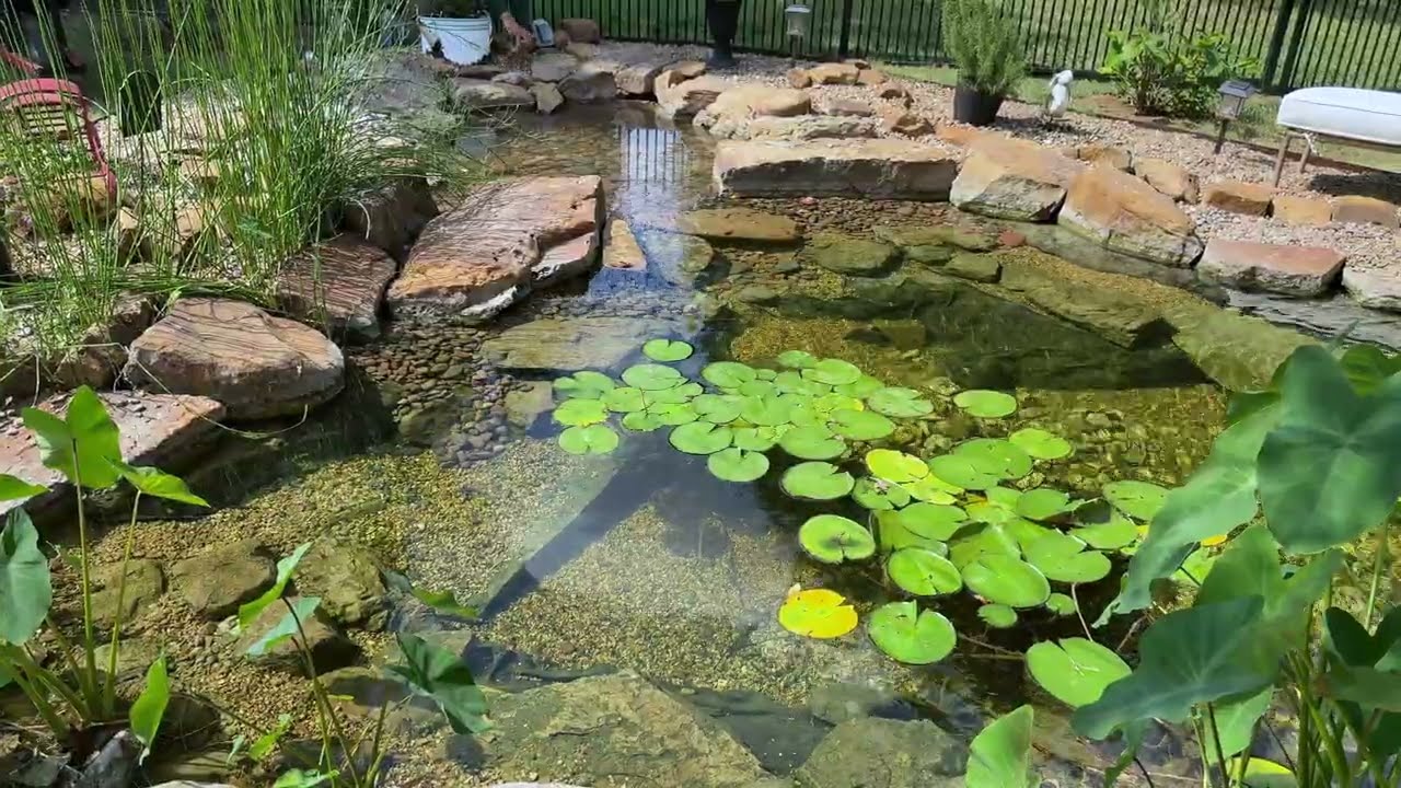 Pond Maintence With Intake Bay Repair 
