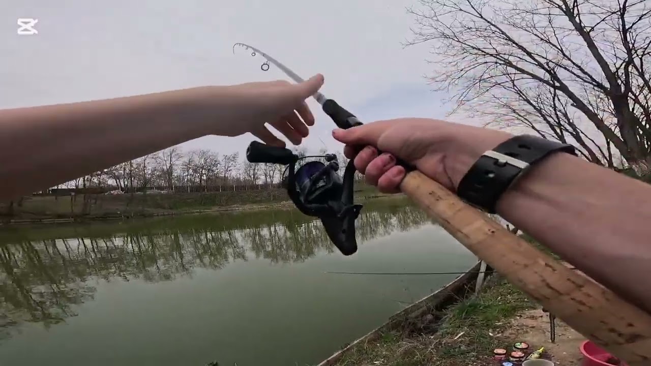 Partidă de pescuit foarte reușită.(AM PRINS 8 CRAPI, cel mai mare de 8-9kg) #pescuit #fishing #carp