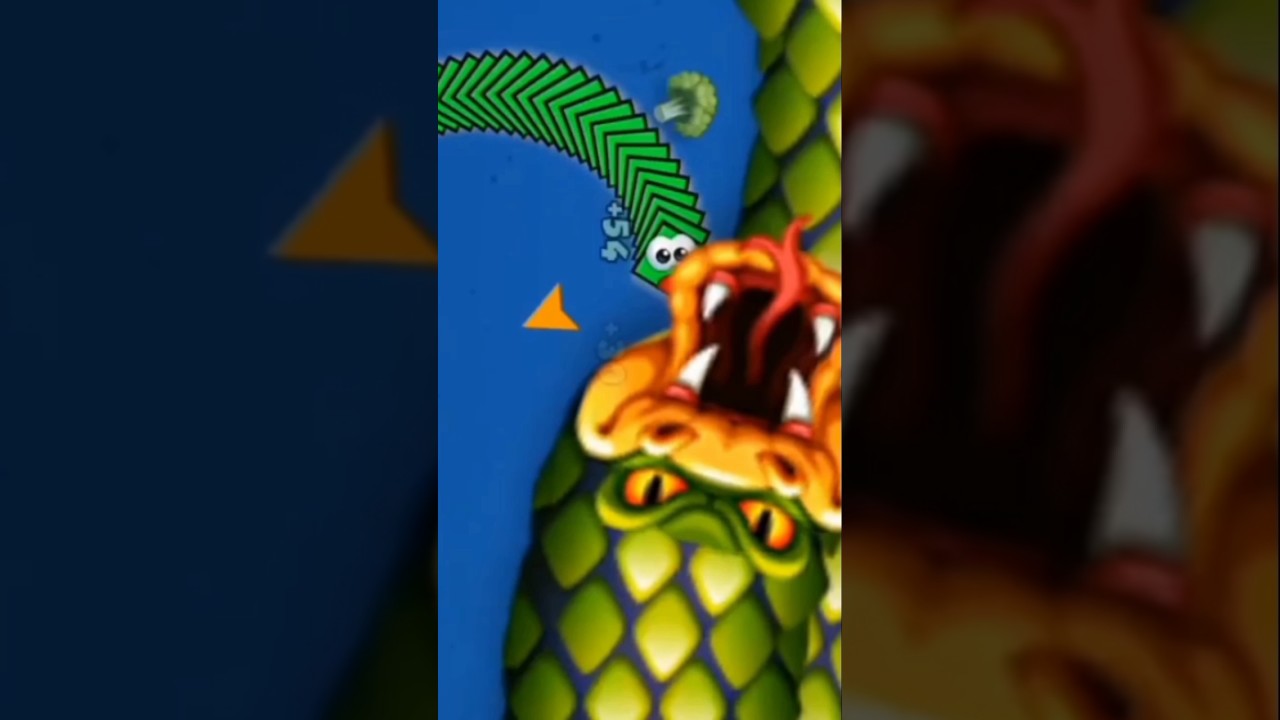 🐍#𝘄𝗼𝗿𝗺𝘀𝘇𝗼𝗻 #𝘃𝗶𝗿𝗮𝗹 #𝘀𝗵𝗼𝗿𝘁𝘀 #𝘄𝗼𝗿𝗺𝘀𝘇𝗼𝗻𝗲.𝗶𝗼