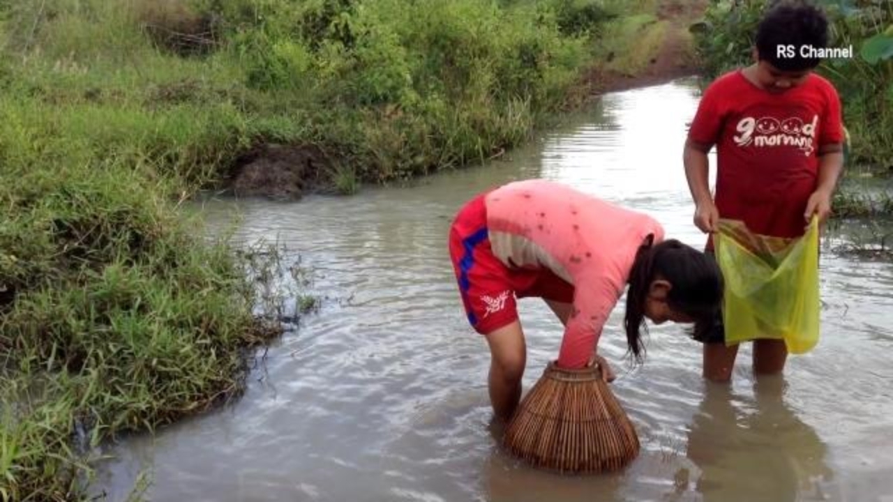 Net Fishing at Kampong cham Province | Khmer Cast Net Fishing | Cambodia Traditional Fishing #04