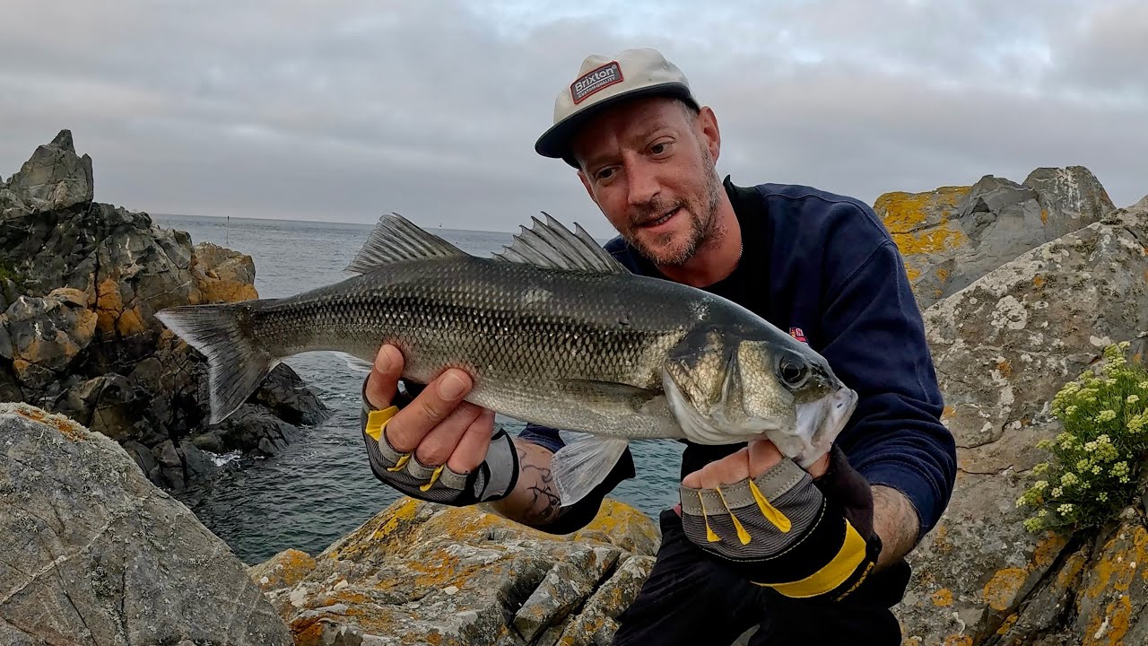 IT'S BEEN A WHILE | BACK OUT LURE FISHING FOR BASS | JUST ABOUT!