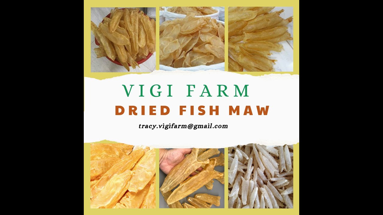 DRIED FISH MAW from VIGI FARM CO.,LTD // THE BEST CHOICE FOR YOUR HEALTH