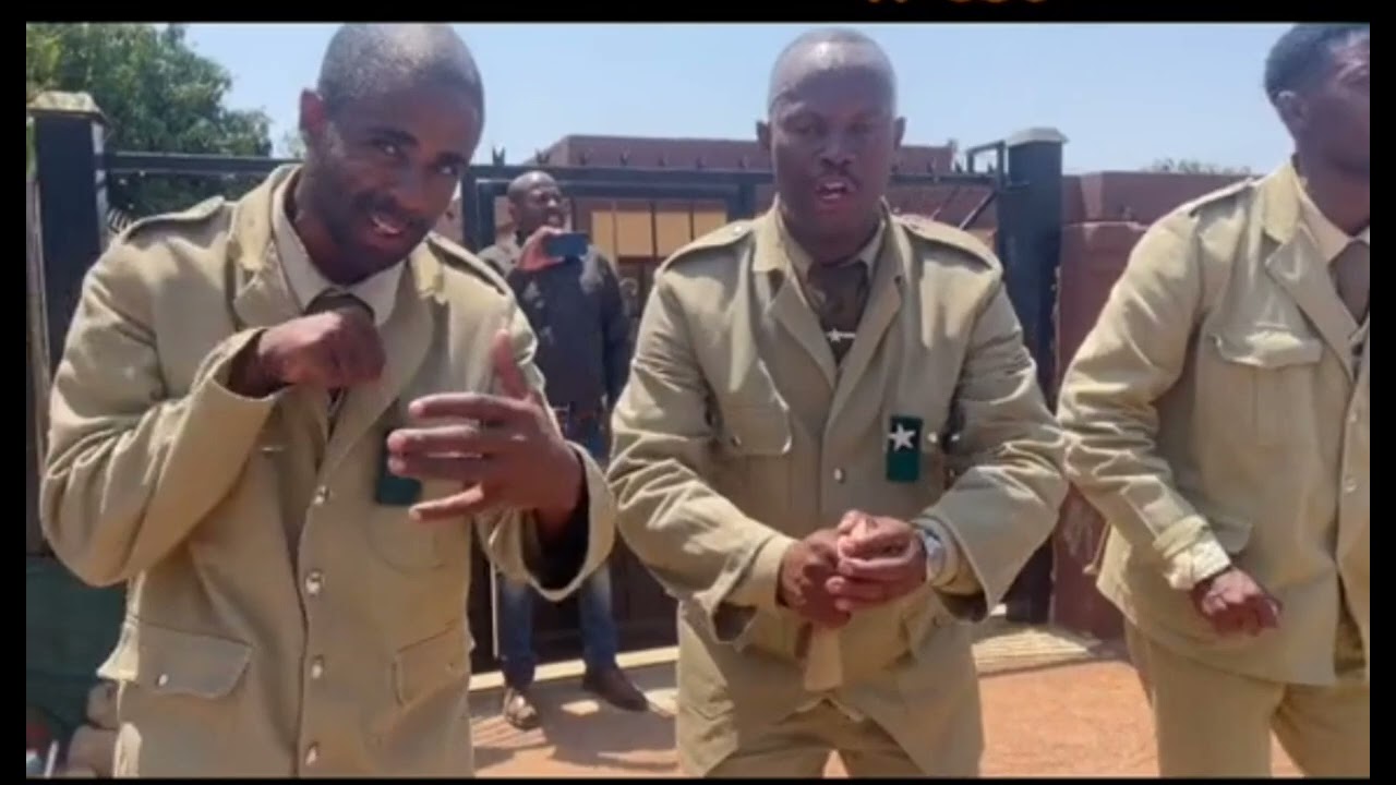 ZCC STOCKS