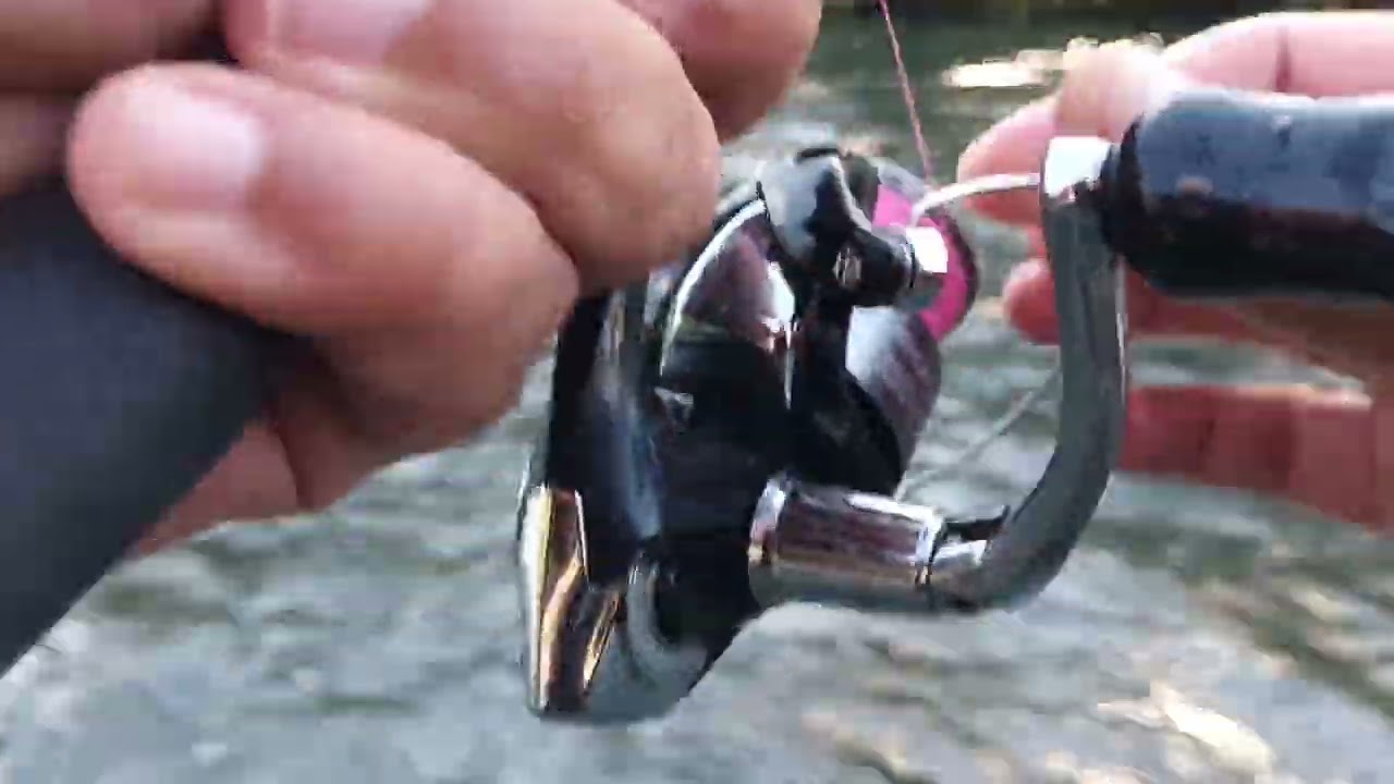 Un clean pe minut, pescuit eficient pe Arges seara cu popper și doua muste artificiale