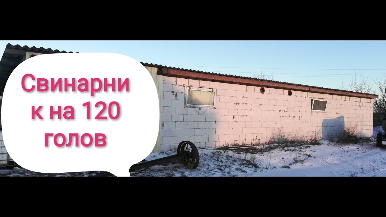 Ферма на 120 голов свиней.Часть 2! Зароботок на свиньях!