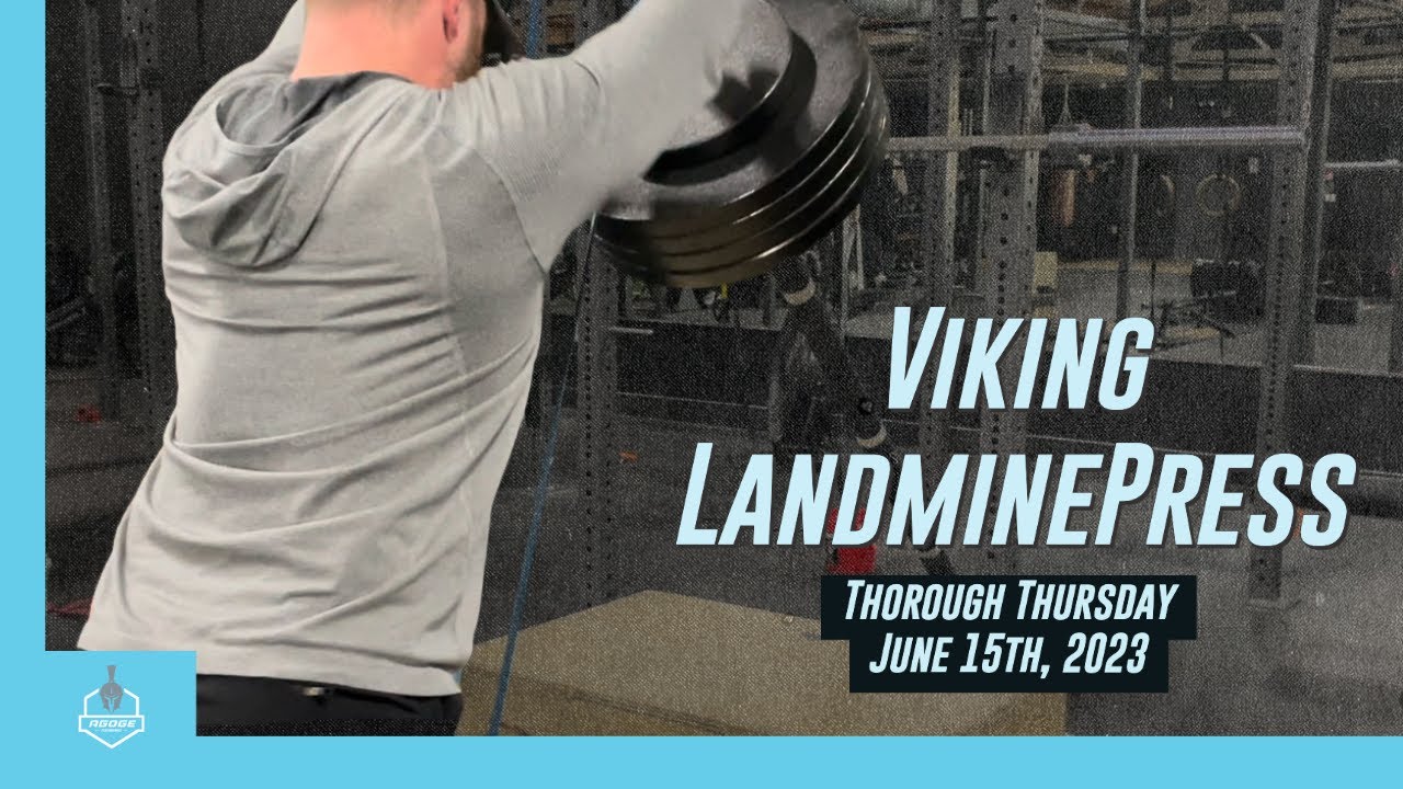 Landmine Viking Press