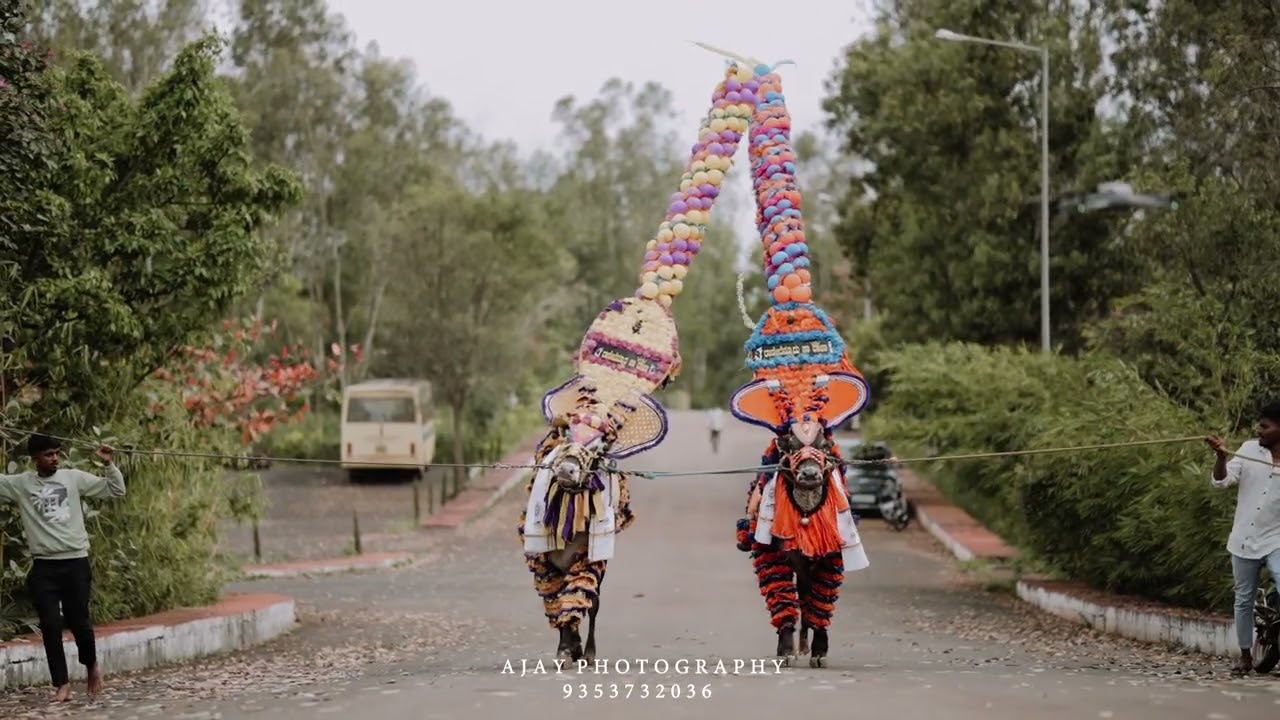 ಹಿಂದುತ್ವದ ಕಿಡಿ- 'ರಾಣೇಬೆನ್ನೂರ್ ಕಾ ರಾಜಾ' ಗಾಯಕರು-ಈಶ್ವರ ಕನಕೂರ, ಸಹಕಾರ: ಪ್ರೇಮ್ ಕುಮಾರ ಬಿದರಿಕಟ್ಟಿ.