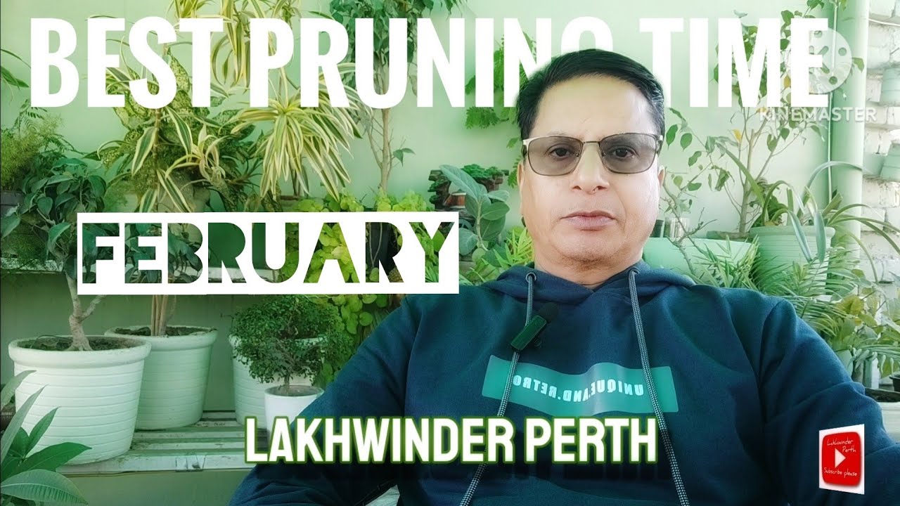 February month best pruning time