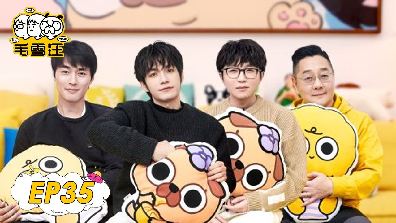 《毛雪汪》完整版第35期：张颜齐回应和夏之光友尽式打拳，毛不易张绍刚狂野走秀