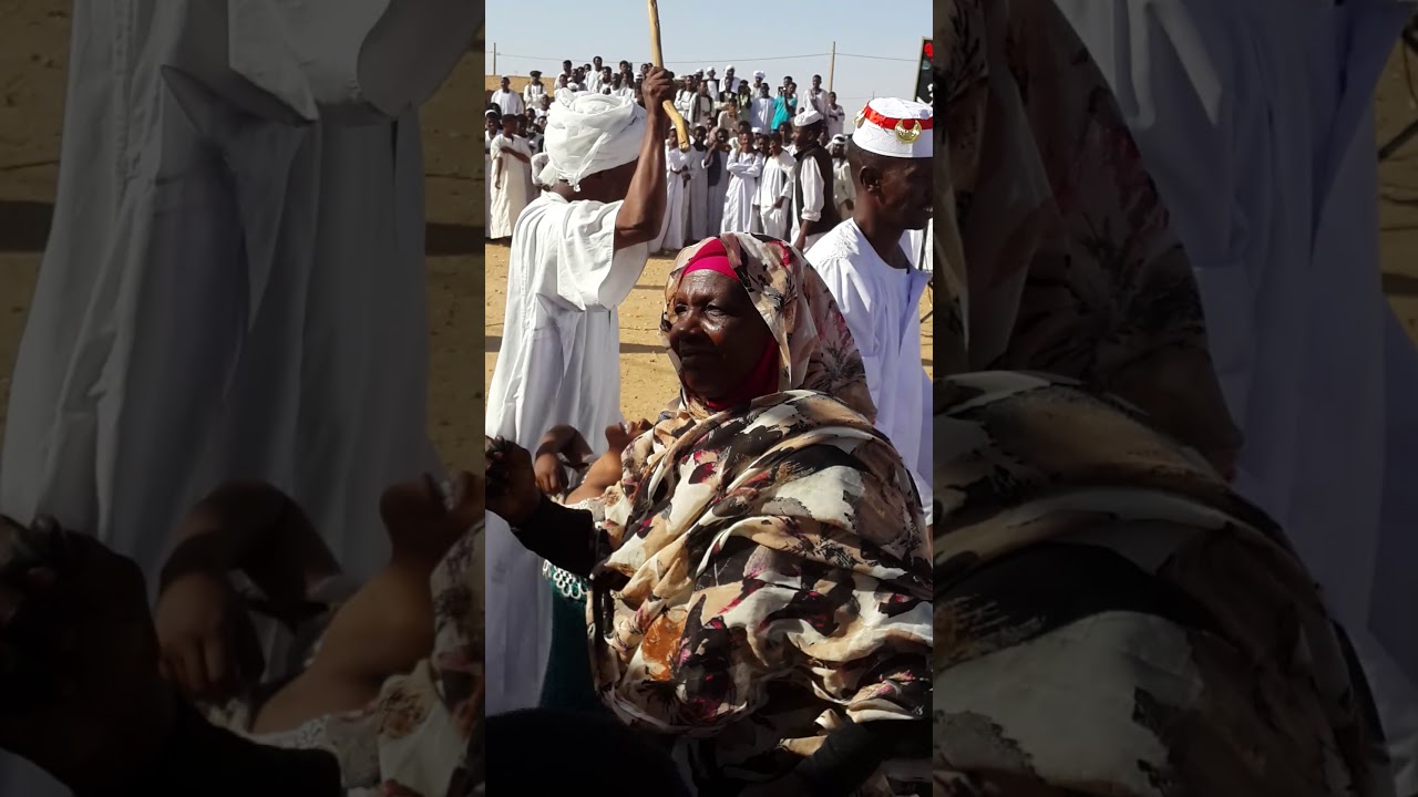 حافظ موسي