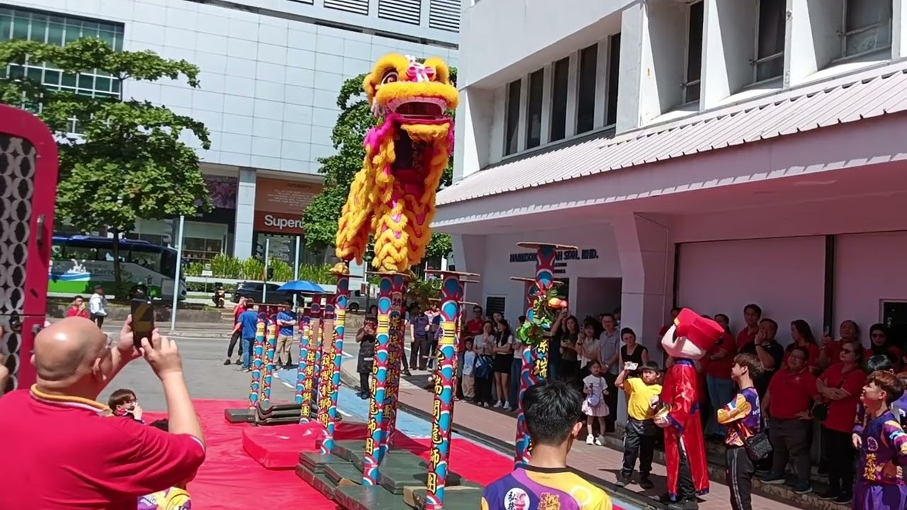 Lion Dance 2025(2)