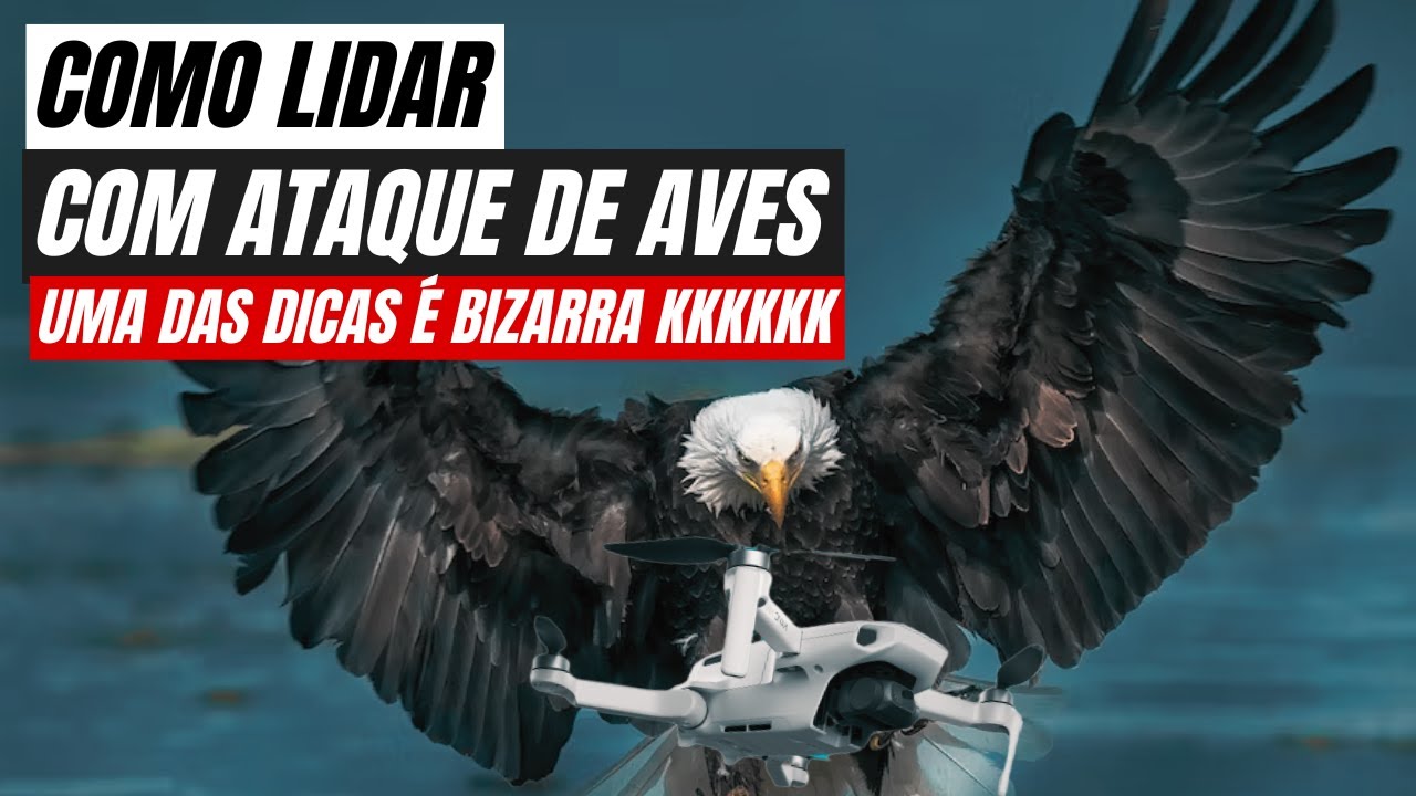 DRONE é ATACADO por AVES e PÁSSAROS: O que fazer e como evitar? // Dicas de drone para Iniciantes