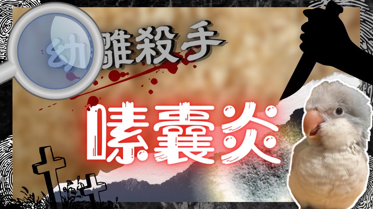 【跌打損傷】幼雛殺手 素囊炎