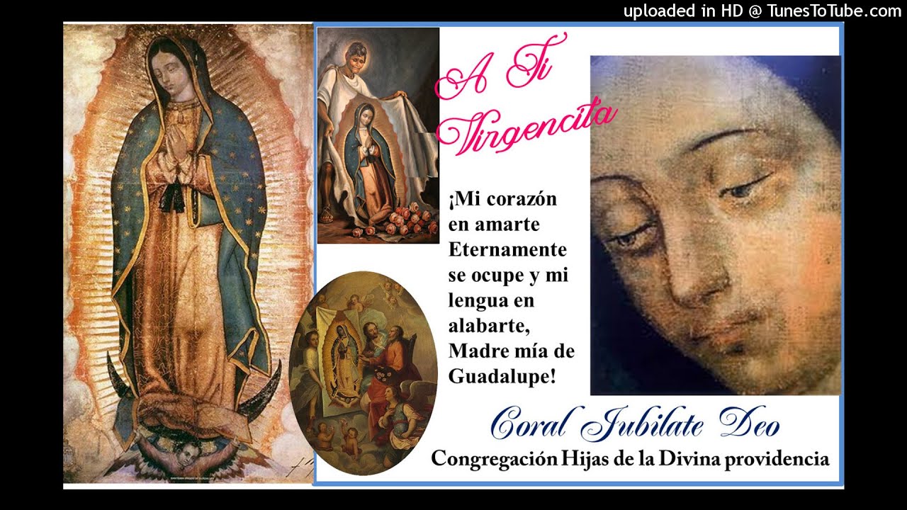 No nunca Te alejes