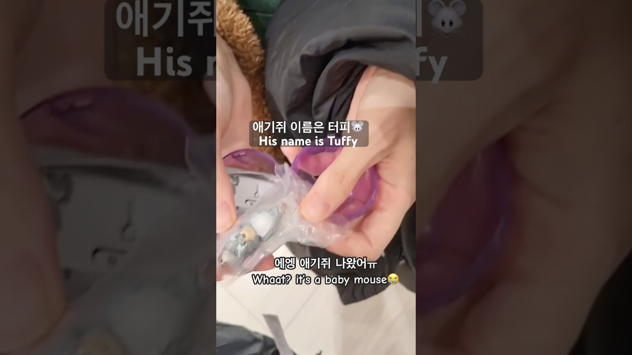 Tom and Jerry Blind Box🐭 Tuffy Baby Mouse?! | 톰과제리 가챠 터피