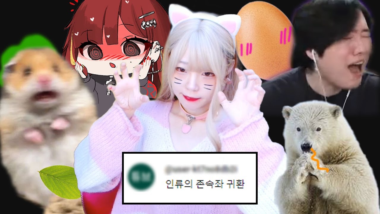 존속행동 새봄추에 경악하는 띵타이쿤