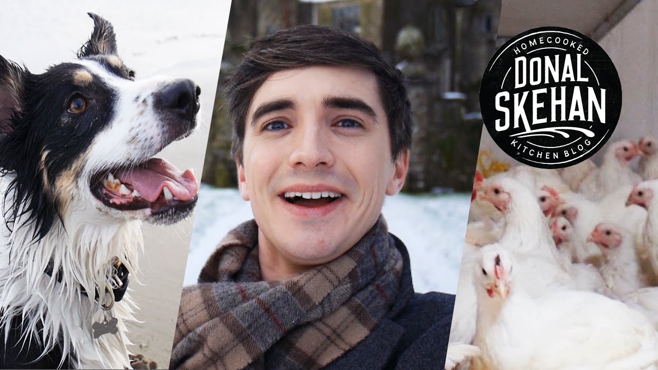 HUGE NEWS & Paddy's Day Collab! VLOG Episode 7