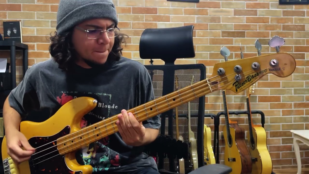 Close Lobsters - I Kiss the Flowers in Bloom | Bass Cover (by Klean)