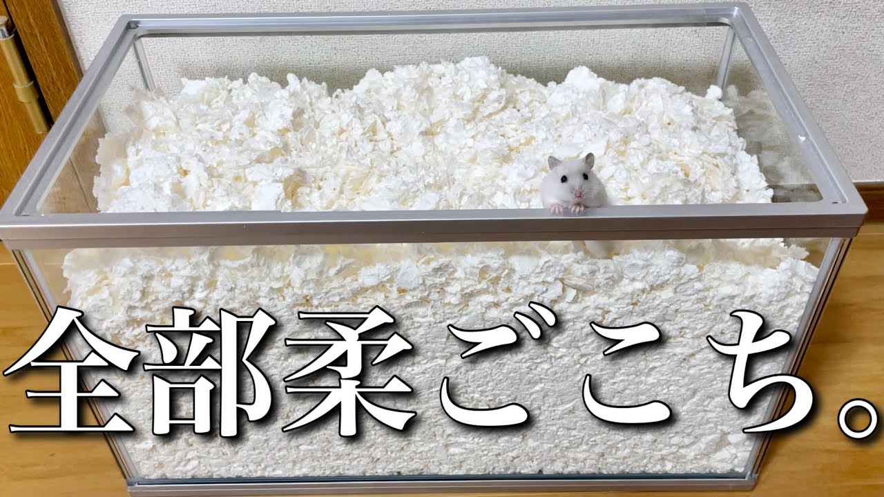 ハムスターのケージを柔ごこちで埋め尽くしてみた！