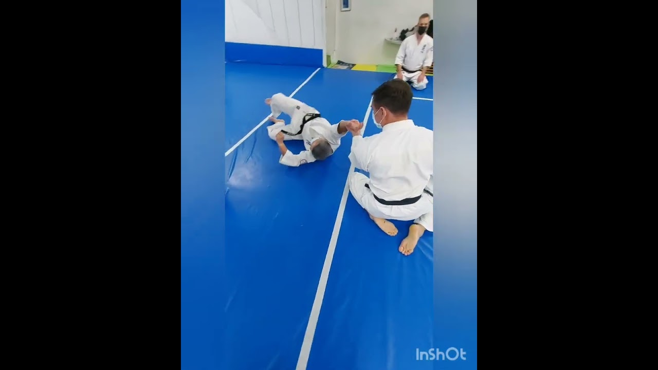 極伝大東流  Dai Yonkajo favorite techniques demonstration by Mr Karen S.