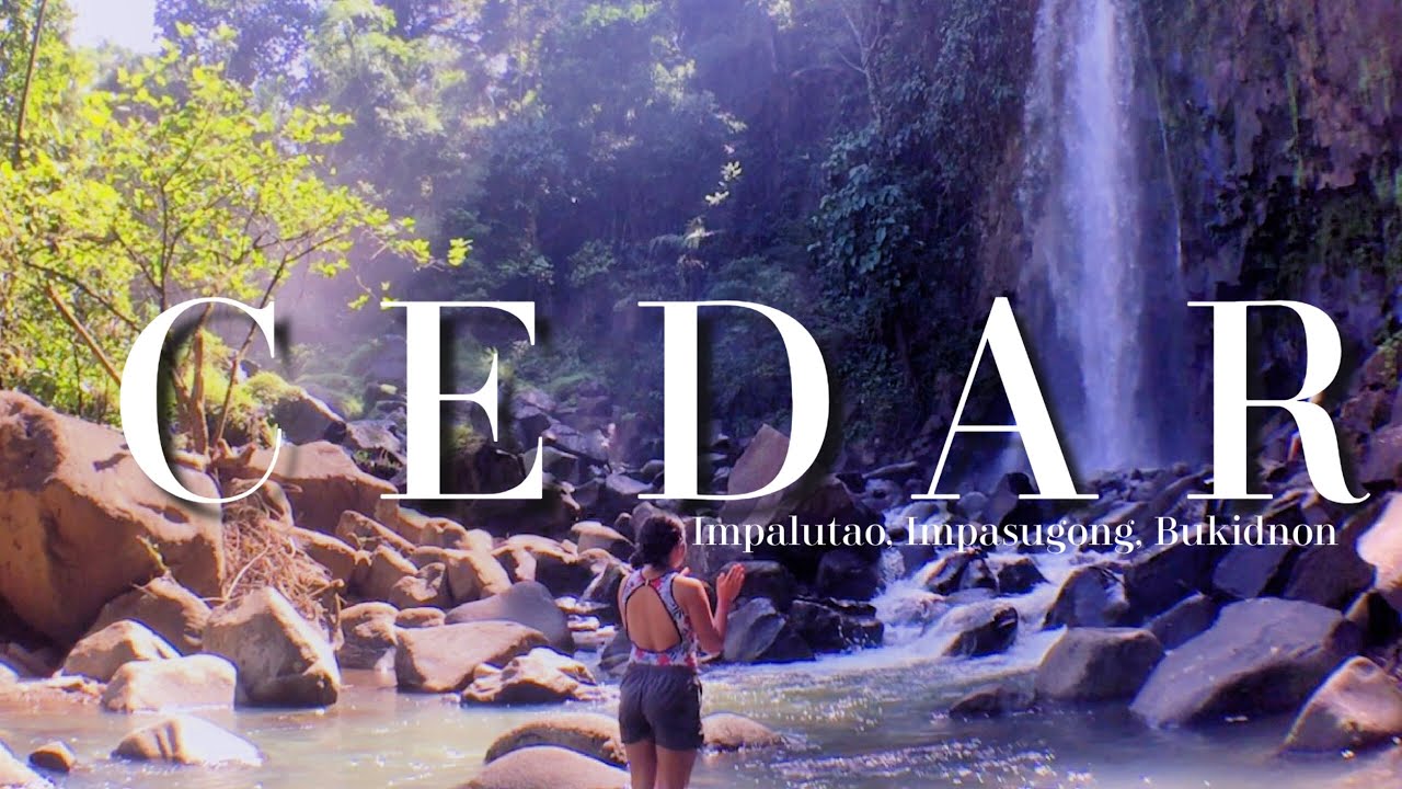 WATERFALLS TREKKING IN CEDAR: Natigbasan Falls, Dila Falls, Gantungan Falls, and more!