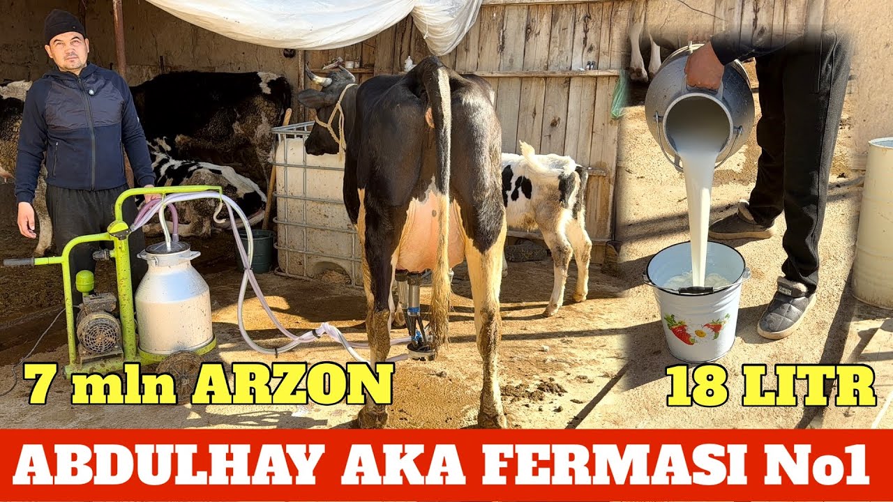 ABDULHAY AKA FERMASI 36 mlndan BOSHLANADI 7/8 mln ARZONIGA ARZONIDAN ENG ARZON JOYI