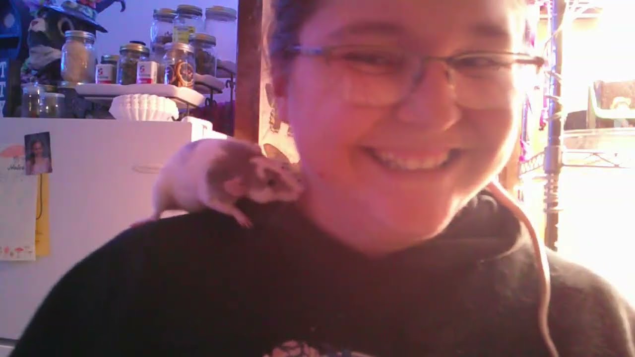 Why Rats?