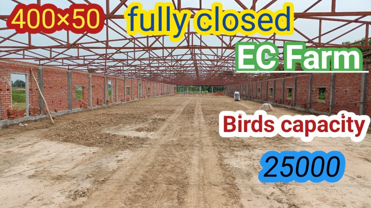 400×50 fully closed EC House  Construction| 25000 Birds capacity EC poultry farm|KS Poultry|