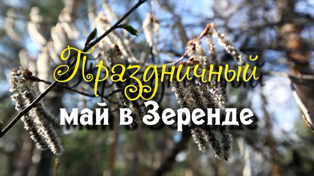 Видеофильм 