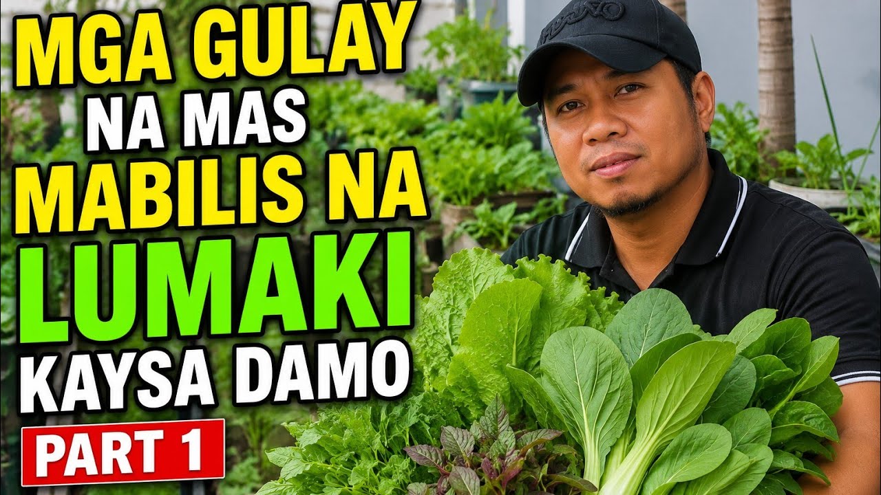Part 1 I Mga Gulay Na Mas Mabilis Na Lumaki Kumpara Sa Mga Damo