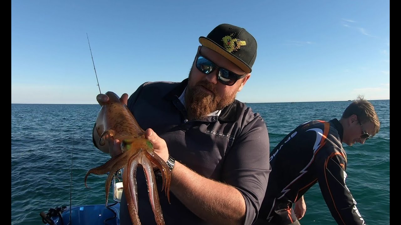 Catching Krakens - Big squid in Warnbro sound