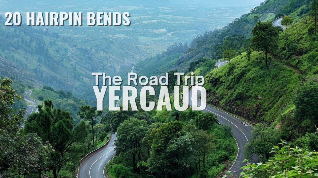 Bangalore to Yercaud Road trip | 20 Hairpin Bends | Murugan Idli | Yercaud, Chota Ooty | DAT Zone