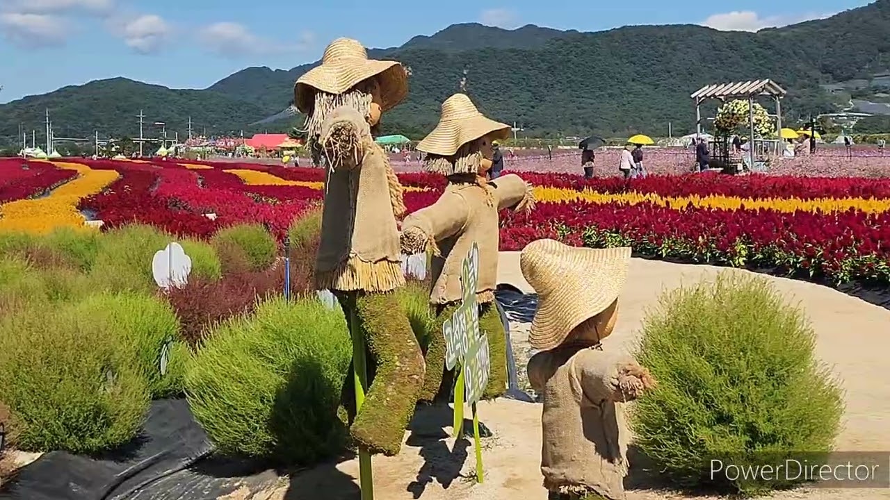 고석정과 고석정 꽃밭 / Goseokjeong and Goseokjeong flower garden