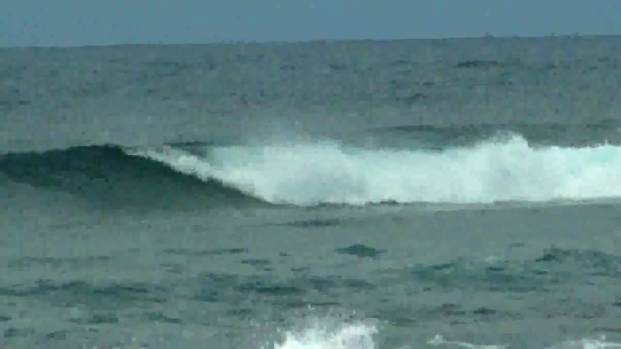 corralejo fuerteventura surfing