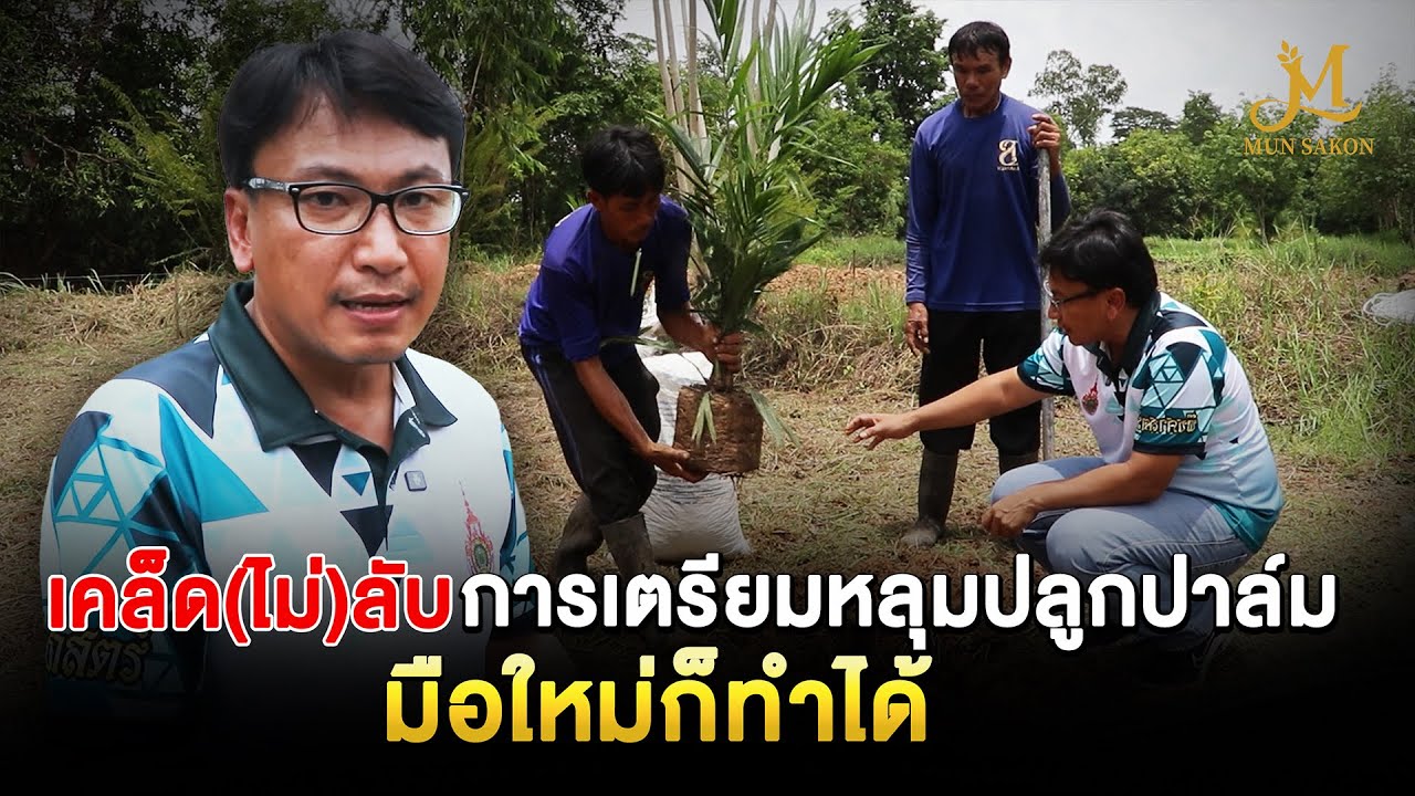 เคล็ด(ไม่)ลับการเตรียมหลุมปลูกปาล์ม / ปลูกปาล์มให้ทันหน้าฝน Ep.2