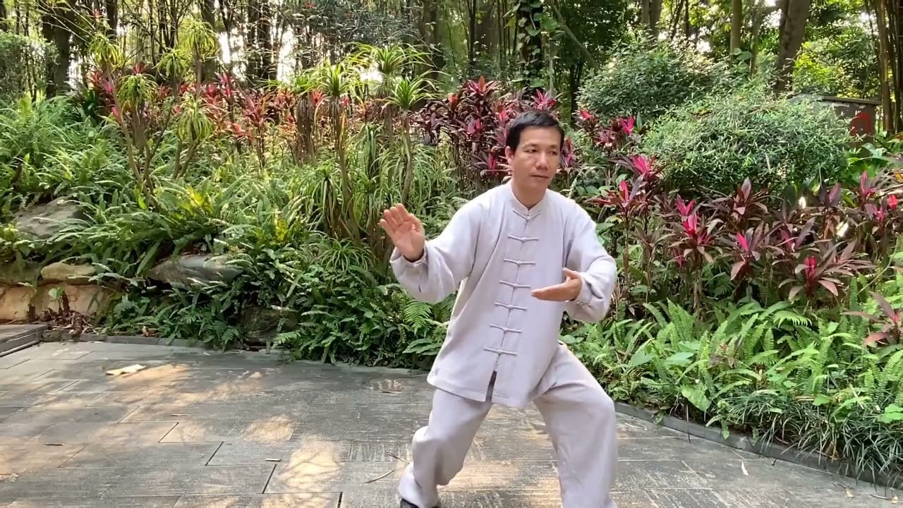 杨式太极最凶猛的拳法左右打虎，气势凶猛变化多端，你学会了吗