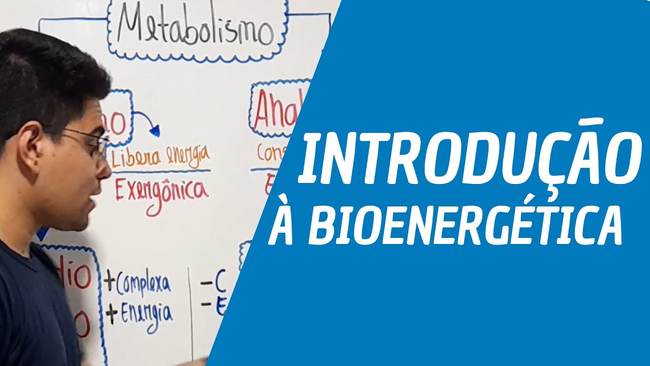 INTRODUÇÃO À BIOENERGÉTICA (METABOLISMO ENERGÉTICO) Prof. Emerson Inácio